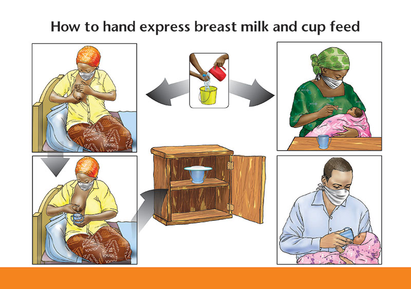 Illustration of How to hand express breast milk and cup feed