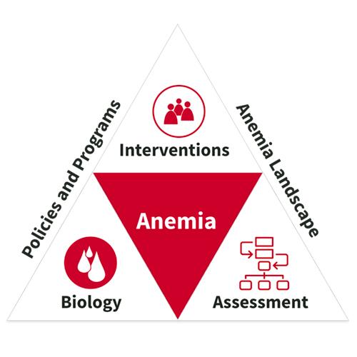 Illustration of the Anemia Triangle showing all five sections of the Anemia Toolkit; On the outside: Policies and Programs, Anemia Landscape and on the Inside: Biology, Interventions, and Assessment.