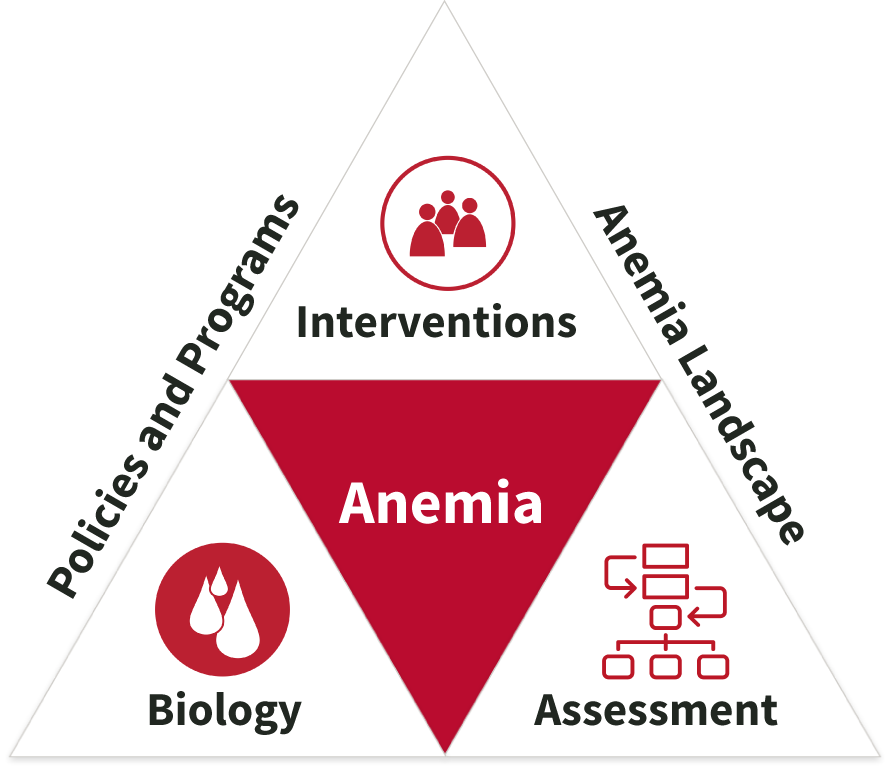 Triangle graphic showing all five sections of the Anemia Toolkit.