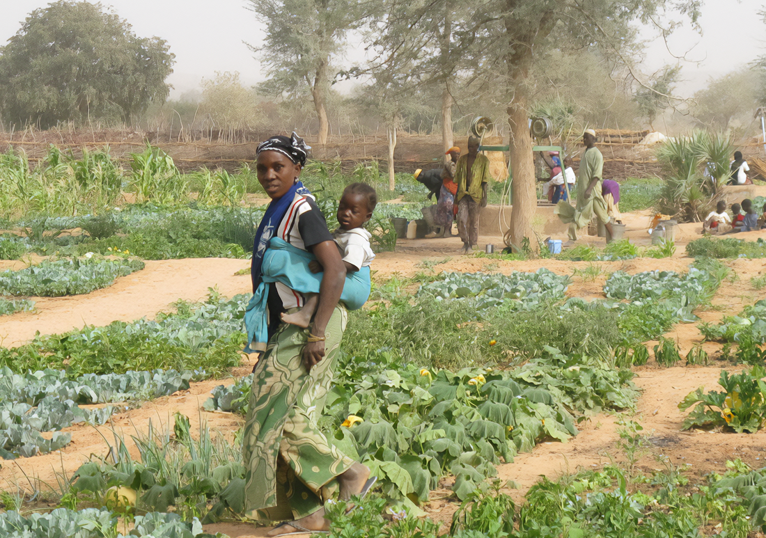 Woman working in a community vegetable garden with her toddler on her back.