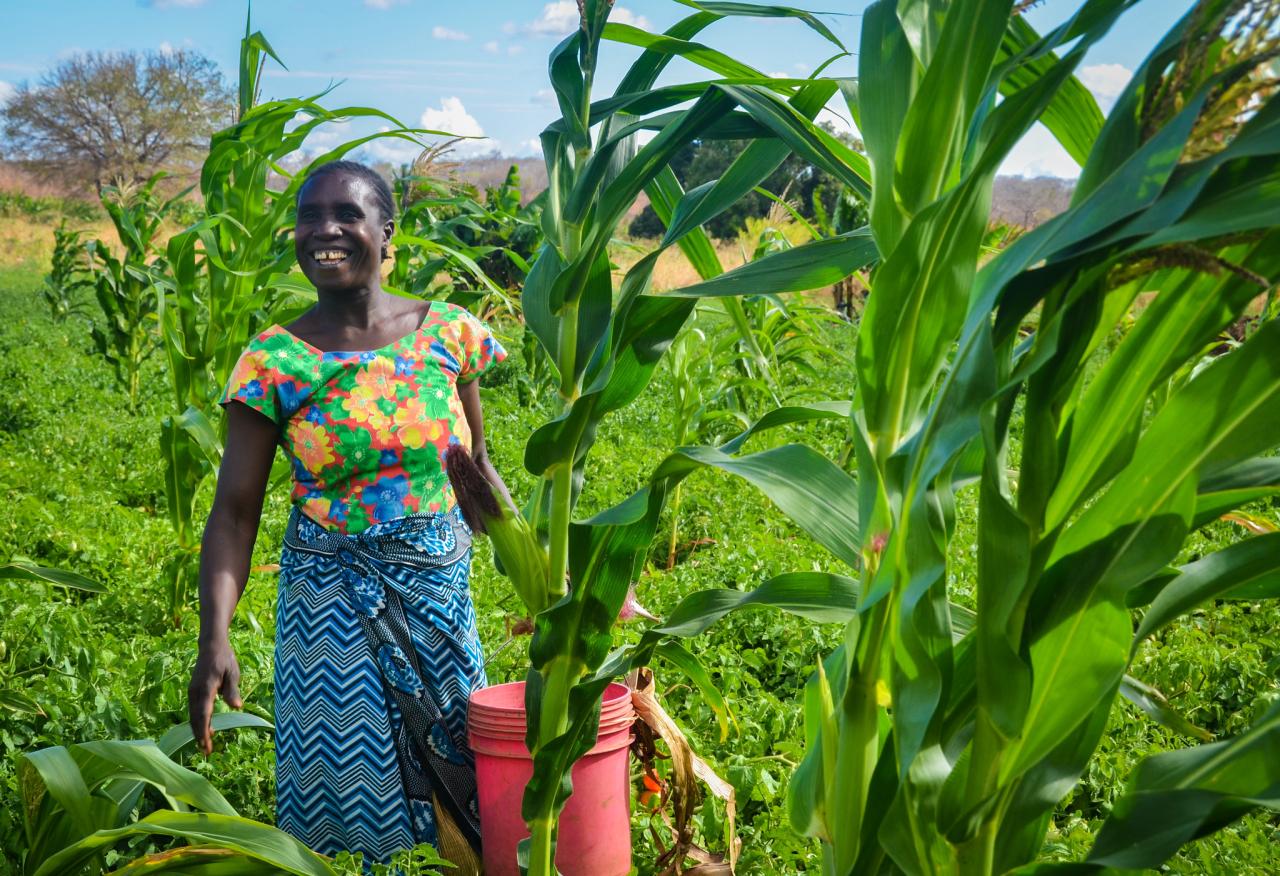 Photo of a woman smiling walking through a farm field holding a bucket