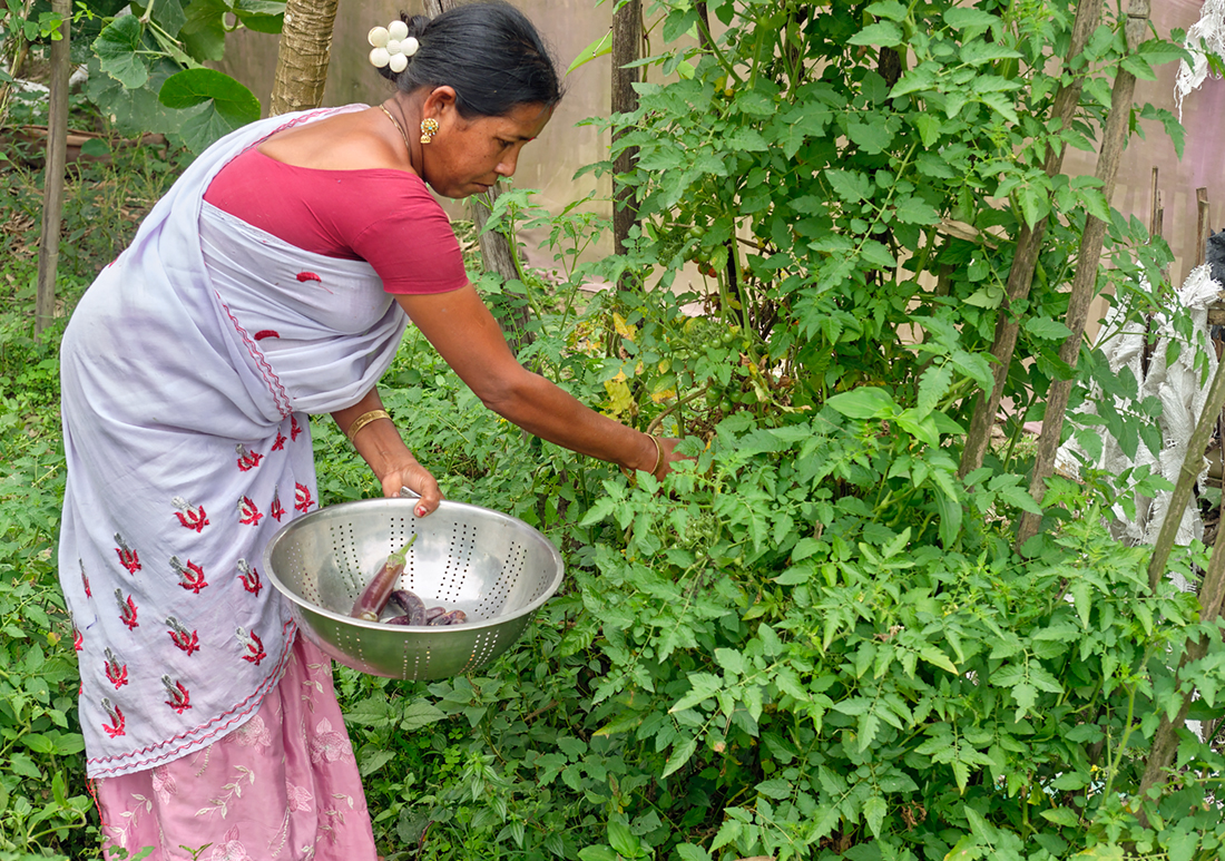 Photo of a woman picking greens in her vegetable garden.