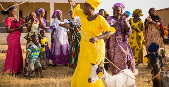 A woman leads two goats past a cheering group of women and children. USAID | Yaajeende (Senegal)