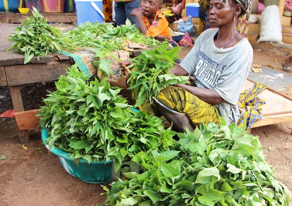 Photo of women tending to her plants at a market. Credit: SPRING/2019