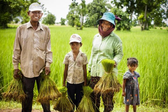 Cambodian farmers are increasing their yields as well as their incomes with help from Feed the Future. The whole family benefits from the added income and nutrition. (Fintrac Inc.)