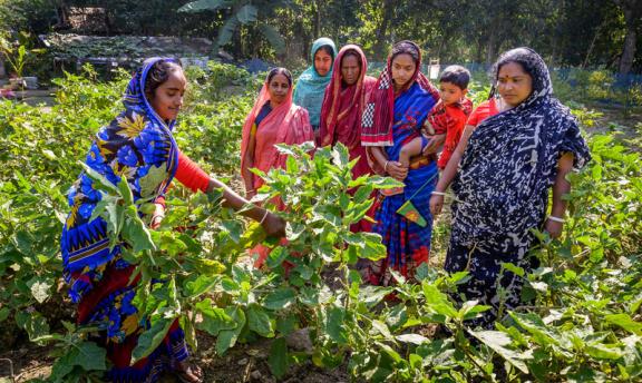 Women practicing organic farming
