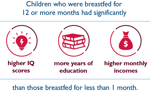 Children who were breastfed for 12 or more months had significantly higher IQ scores, more years of education, and higher monthly incomes than those breastfed for less than 1 month.
