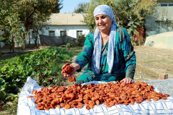Woman standing by her crop of dried apricots, ready to sell them at the market