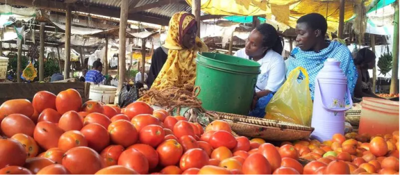 Tomato retailers at a market in the Morogoro region of Tanzania tell Hellen Samwel (center), an enumerator with AVRDC – The World Vegetable Center, about the post-harvest losses they experience.