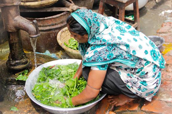 Photo of a woman washing lettuce outside her home at Amin Bazaar in Mirpur, Bangladesh.
