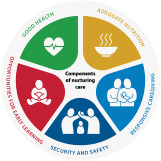 ion of the Components of Nurturing Care: Good Health, Adequate Nutrition, Responsive Caregivers, Security & Safety, Opportunities for Early Learning. 