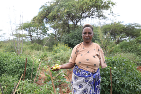 Pauline Kongo, who chairs the Tikwenda Kwitu self-help group, holds some tomatoes picked from her farm. Photo Credit: Dorothy Waweru,Save the Children