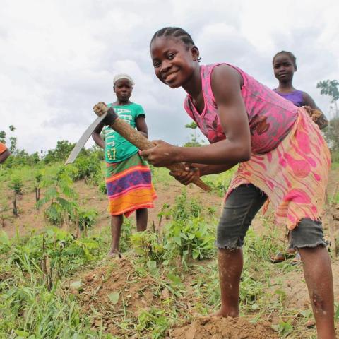 Tohnlo Women’s Association in cassava farming in order to increase the crop’s production and profitability