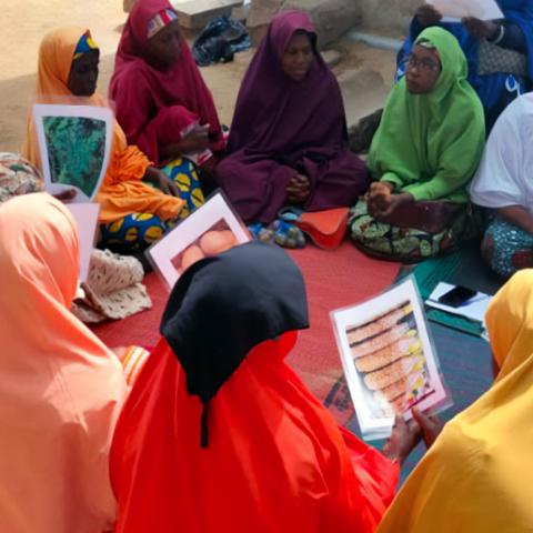 Photo of a group of women sitting in a circle in traditional clothing, while going over training resources.
