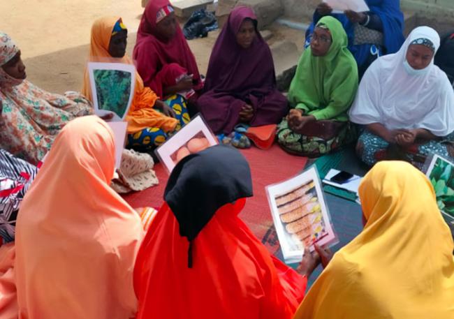 Photo of a group of women sitting in a circle in traditional clothing, while going over training resources.