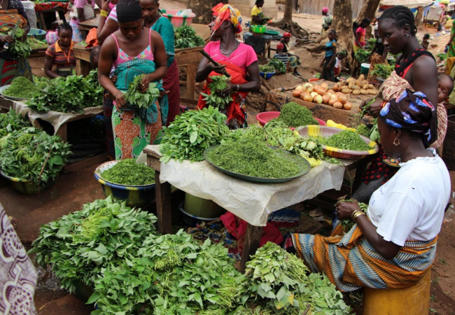 Three women organize different plants at a market.