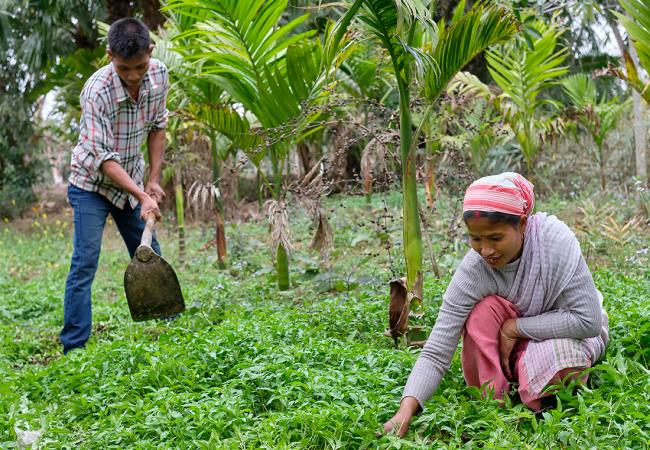 Female producer and her husband implement agricultural productivity lessons learned from the horticulture trainings in their garden, as they tend to said garden