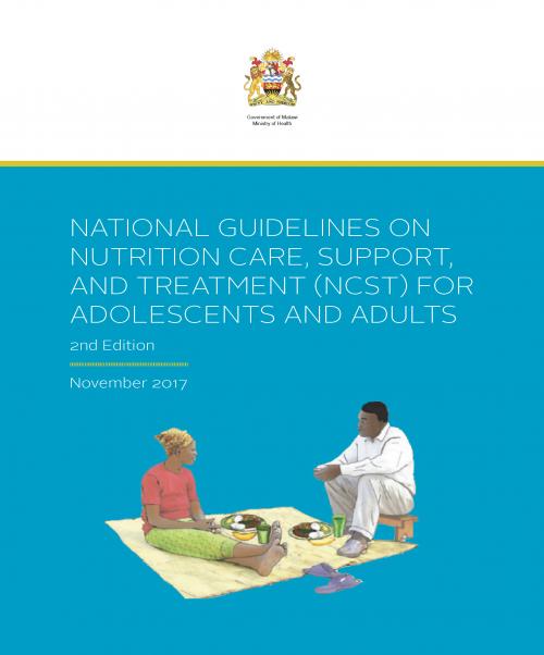 Cover of National Guidelines on Nutrition Care, Support, and Treatment (NCST) for Adolescents and Adults