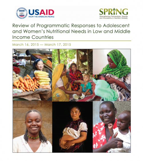 Thumbnail image of Review of Programmatic Responses to Adolescent and Women’s Nutritional Needs in Low and Middle Income Countries