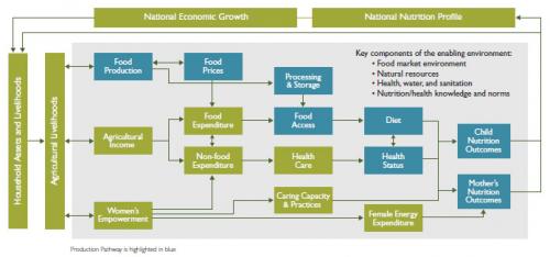 Image of the Food Production Pathway