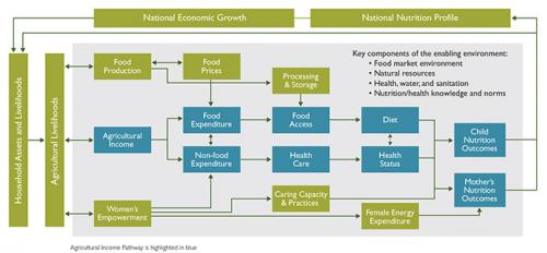Image of the Agricultural Income Pathway