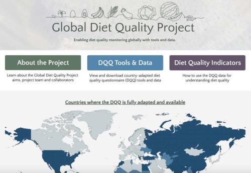 Screenshot of Global Dietary Database
