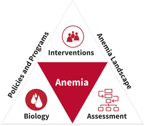 Anemia Toolkit infographic breakdown in triangle shape