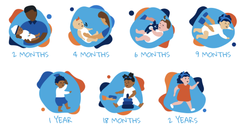 Illustrations of a baby's first two year milestones