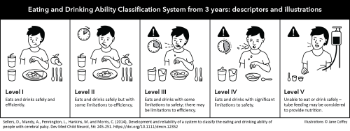 Illustration of the EDACS levels