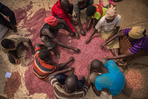 Photo of a group of people sitting around and eating food. Photo Credit: Herve Irankunda \ USAID Feed the Future