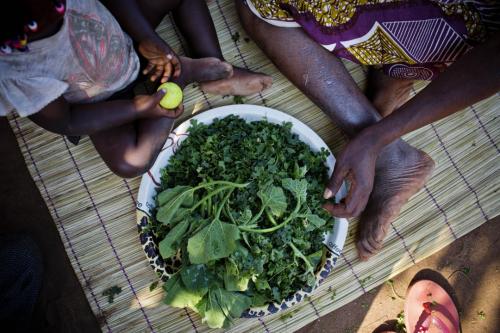 Photo of an adult and small child, preparing a salad of greens, while sitting on a mat.