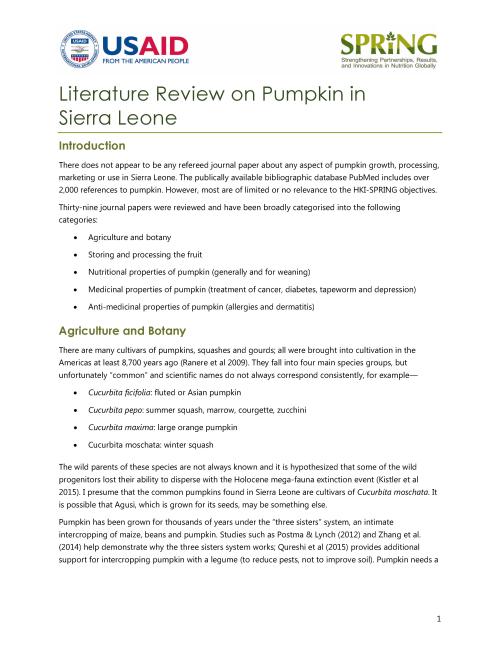 Thumbnail of literature review cover.